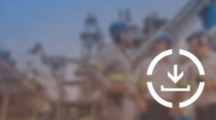 Guia de Mobilização de Veículos Leves Pesados e Equipamentos Móveis